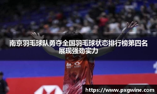 南京羽毛球队勇夺全国羽毛球状态排行榜第四名展现强劲实力